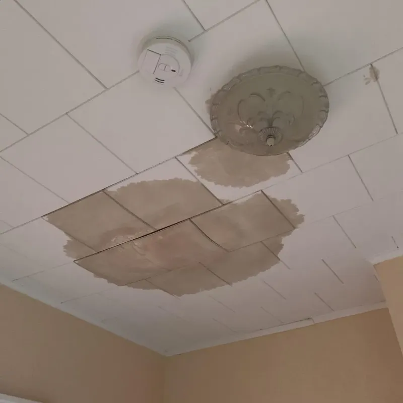 Ceiling Water Damage Repair in Brownlee Park, MI
