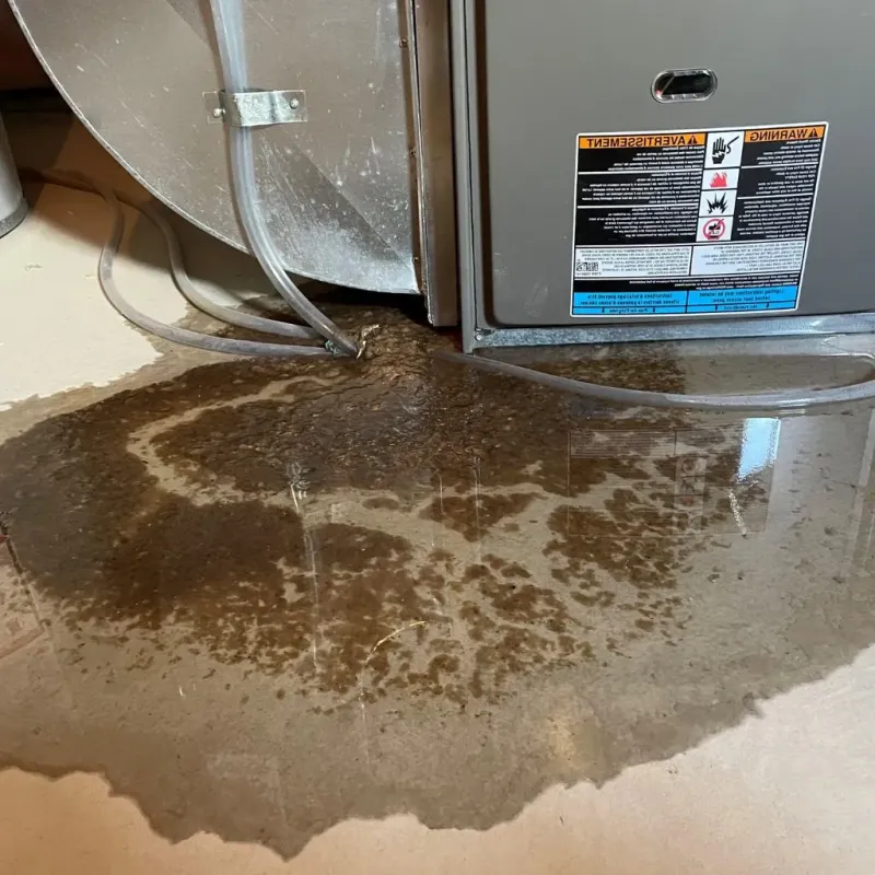 Pipe Burst and Leak Restoration in Brownlee Park, MI
