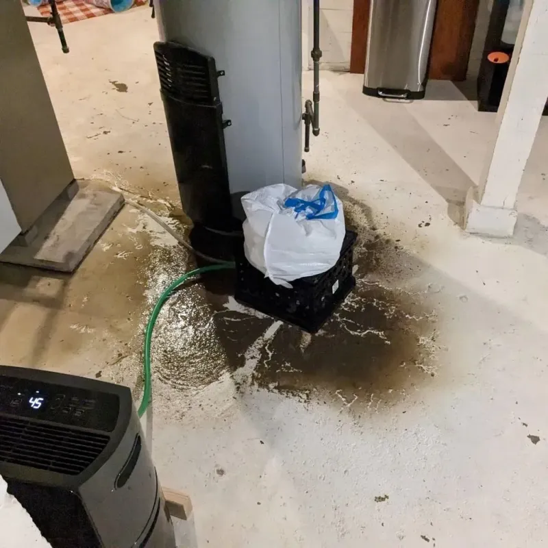 Sewage Backup Cleanup Service in Brownlee Park, MI